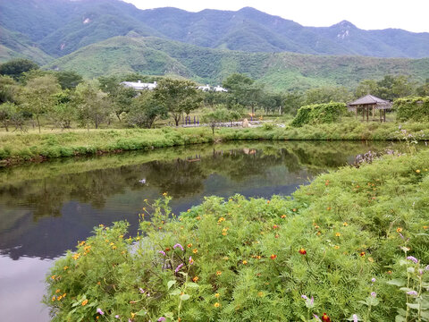 池塘