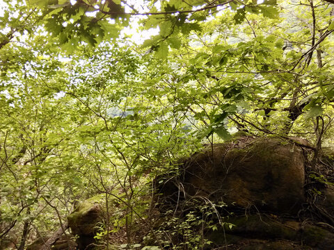 夏日清凉处