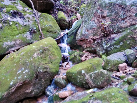 青苔石中细水流