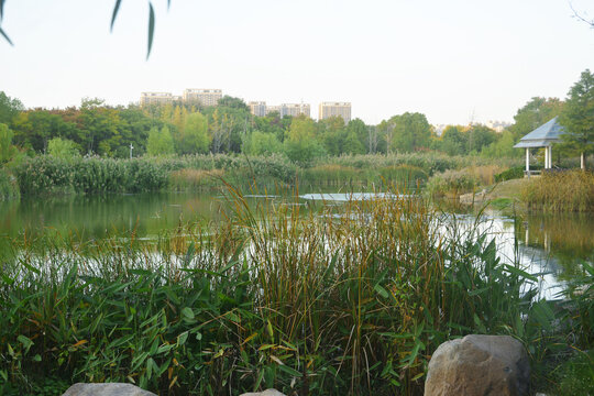 傍晚湖景