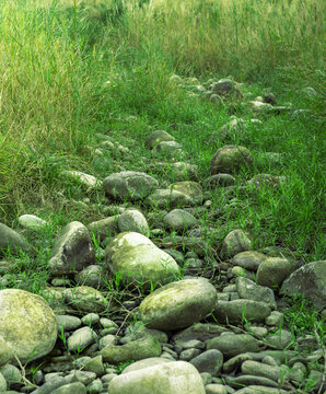 生长草丛鹅卵石河道