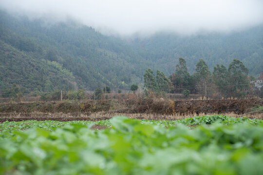 乡村田园山峰