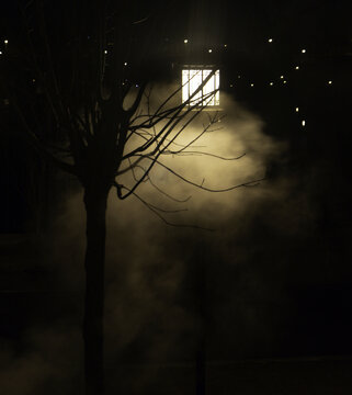 烟雾树雾气抽象灯光