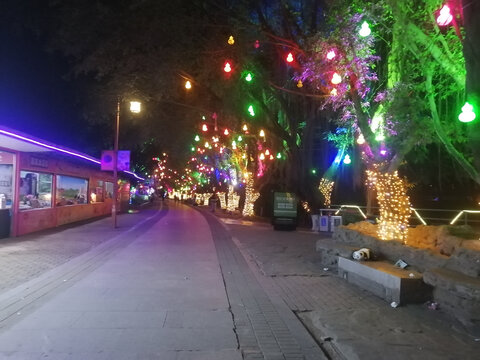 树挂夜景灯光霓虹灯节日彩灯