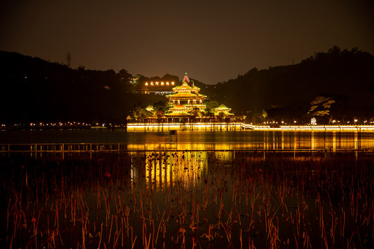 顺峰山公园青云湖夜景