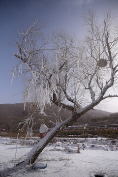 冰雪公园