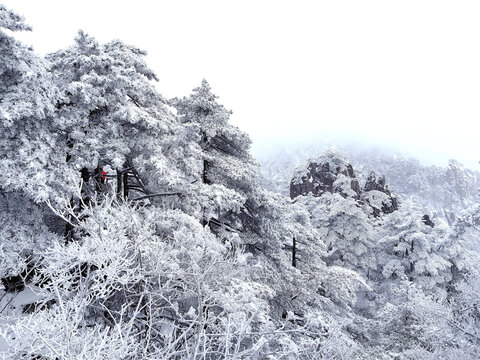 冬日黄山