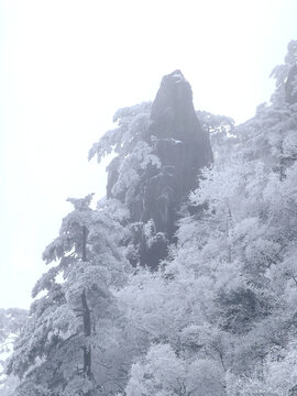 黄山风光