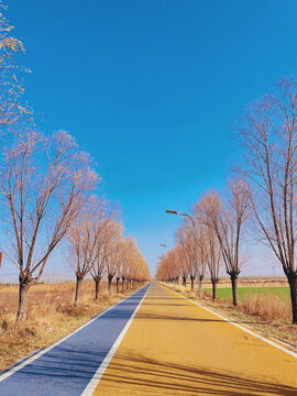 黄河观光风景