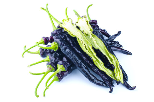 紫龙椒