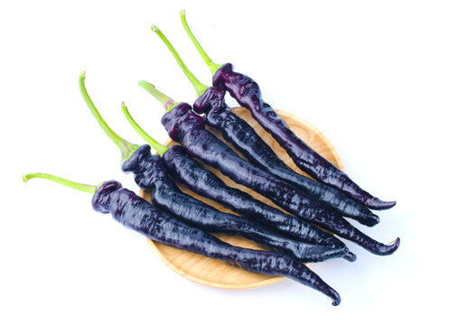 紫龙椒
