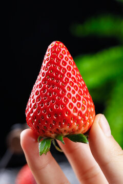 丹东99草莓