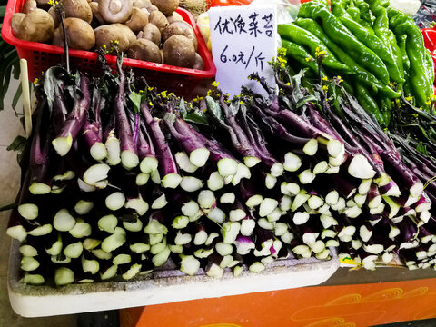 红菜苔