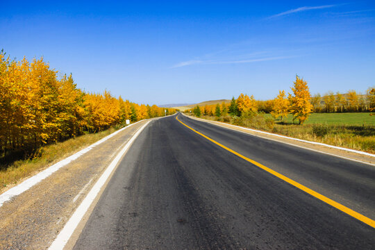 秋季公路道路