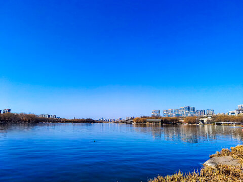 西安曲江南湖湖畔美景