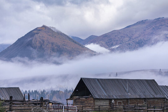 新疆禾木村云雾缭绕自然风景