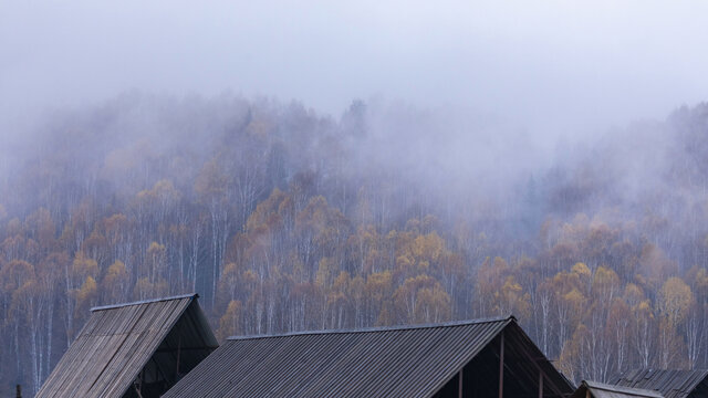新疆禾木村云雾缭绕自然风景