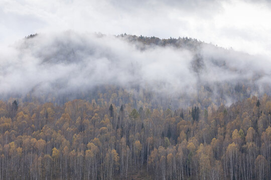 新疆喀纳斯禾木村云雾缭绕秋色