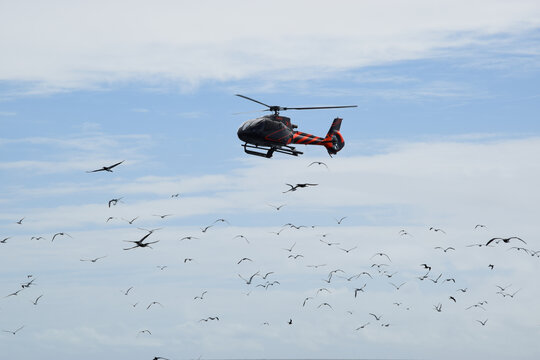 澳大利亚圣灵群岛观赏直升机