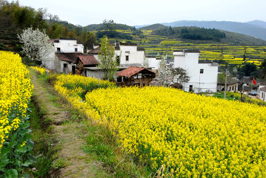 婺源