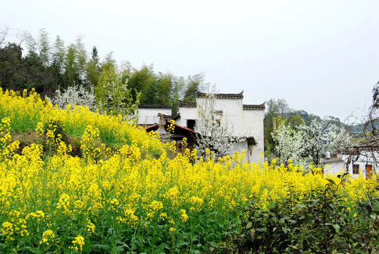 婺源