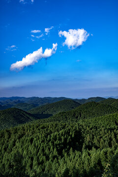 重庆武陵山森林公园