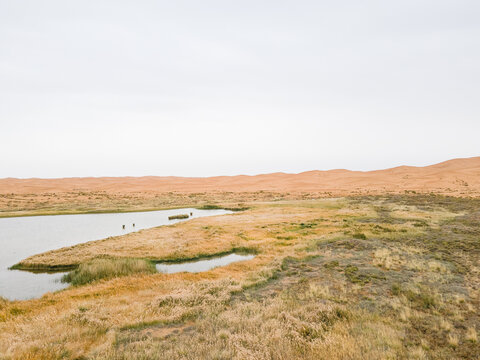沙漠草原湖泊