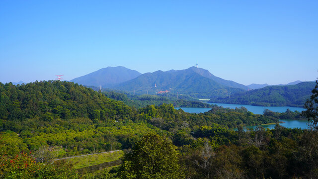 山林树木水库梧桐山电视塔