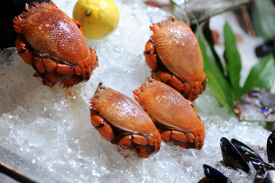 冰镇海蟹
