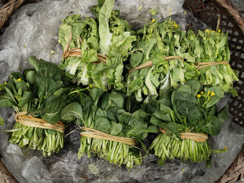 白菜苔与广菜