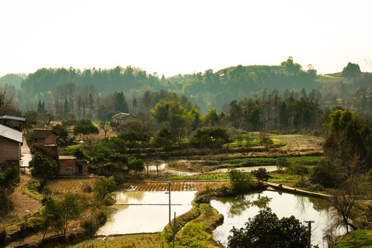 田园