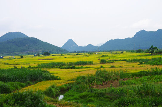 田园风光