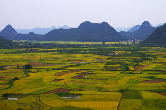 田园风光