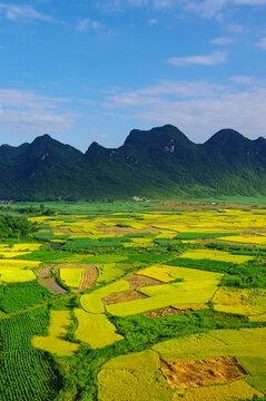 田园风光自然风景