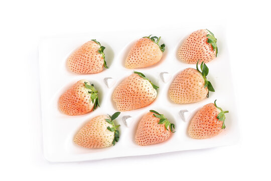 白底上的淡雪白草莓