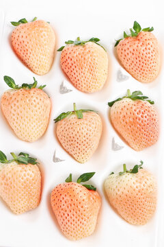 白底上的淡雪白草莓