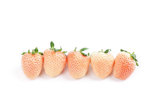 白底上的奶油白草莓