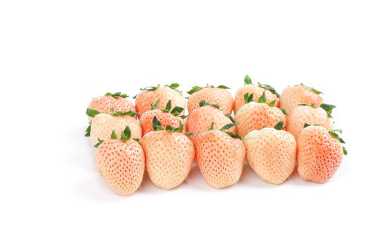 淡雪奶油白草莓