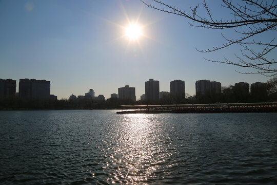 北京玉渊潭公园