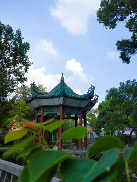 夏日庭院