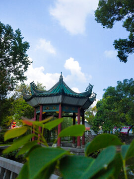 夏日庭院