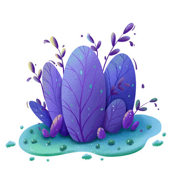 扁平紫色草从