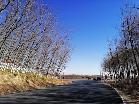 路上的风景