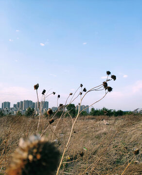 广阔的天空