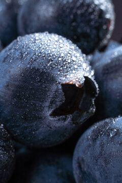 蓝莓超微距细节蓝莓结构