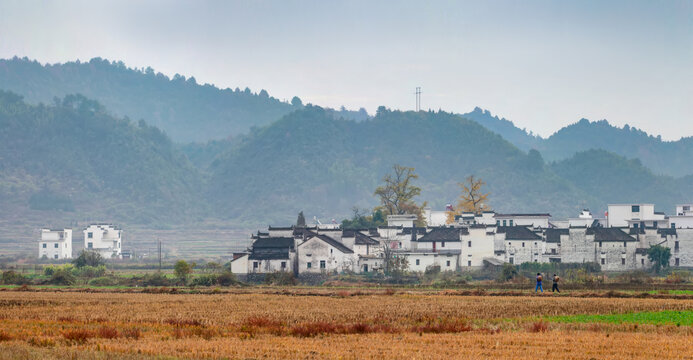 婺源田园风光全景图