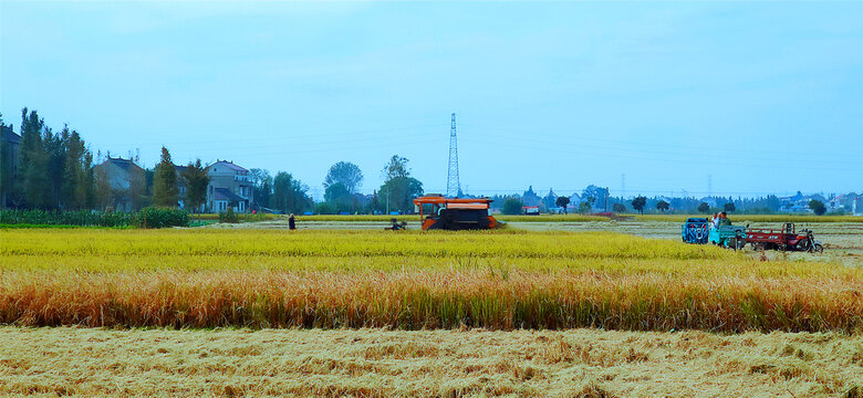 田野收割场景