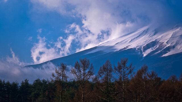 富士山