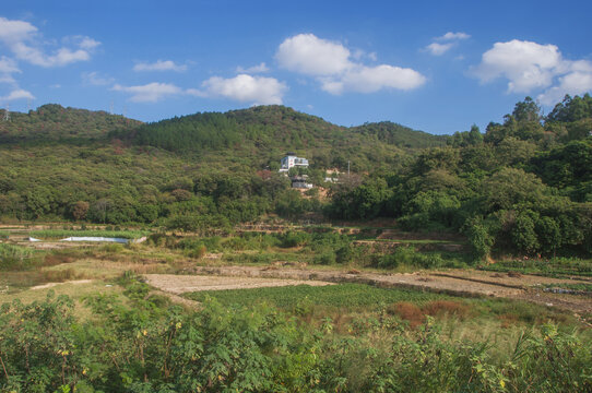 山村田地风光