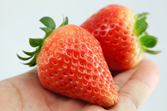 手里拿着的草莓